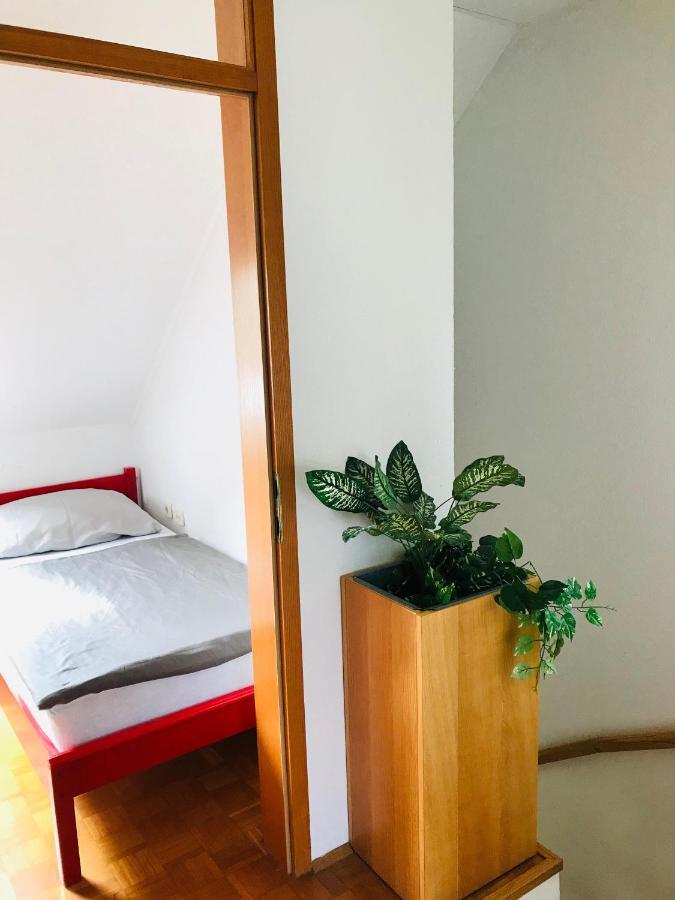 Extraordinary Apartment In Banovci 베라이 외부 사진